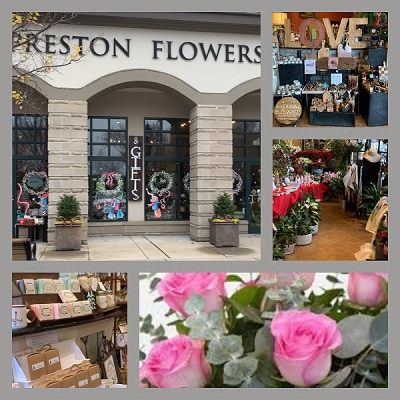 Flowers In Cary Nc / Blossom Shop Same Day Flower Delivery In Cary Nc